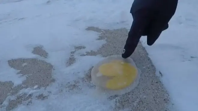 అమెరికాలో చలి