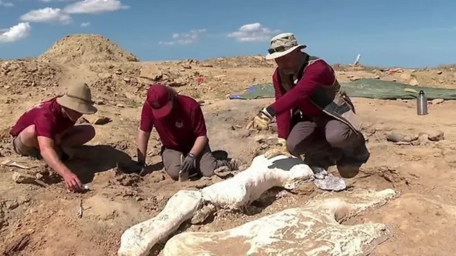 Iskopine kostiju dinosaurusa