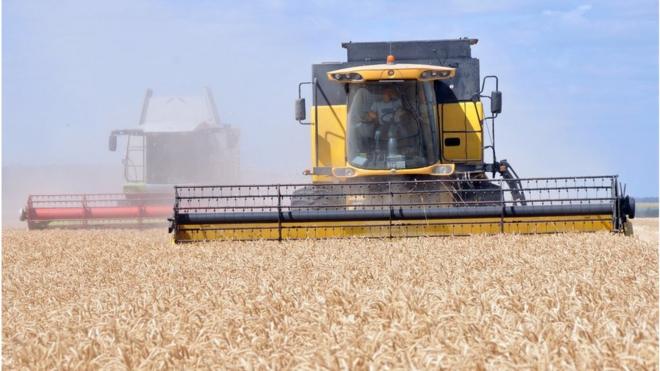 Основа українського аграрного експорту - зерно, а його головні виробники - великі аграрні холдинги