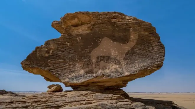 हिमा नजरान, सऊदी अरब