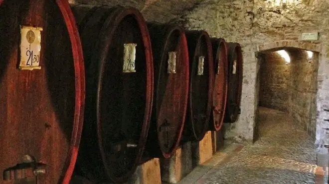 El túnel que conecta la casa de Maquiavelo con la taberna sirve de bodega de barricas de vino.