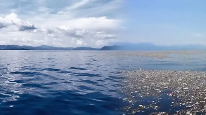 Як очистити океан від пластику?