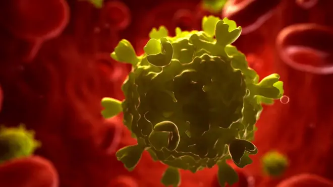 Компьютерная модель ВИЧ-инфекции