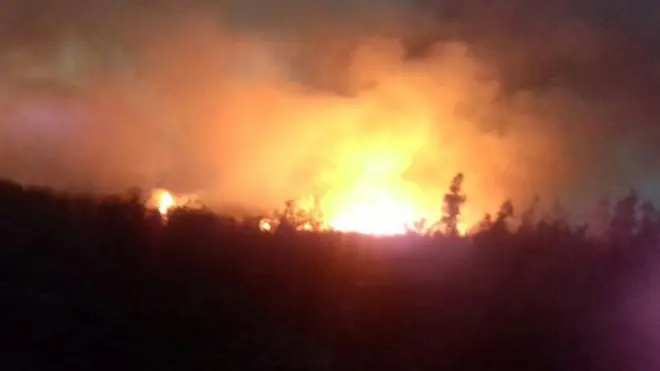 آتش‌سوزی میانکاله