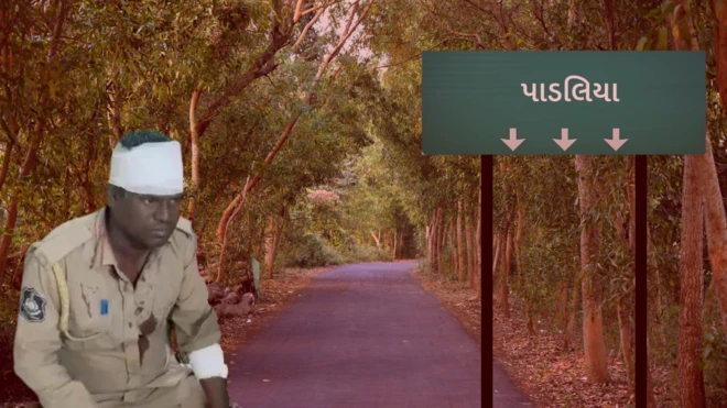 બીબીસી ગુજરાતી, ગુજરાત, બીબીસી, બનાસકાંઠા, પાડલિયા, આદિવાસી, પોલીસ પર હુમલો, વનવિભાગની ટીમ પર હુમલો,