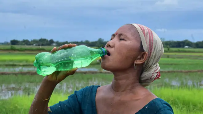 पाणी पिणे