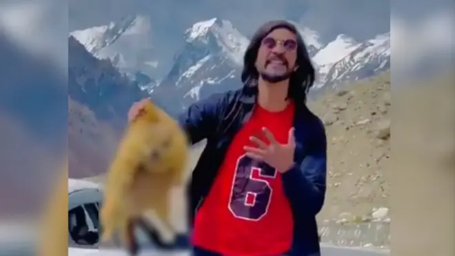 ٹک ٹاک، ویڈیو