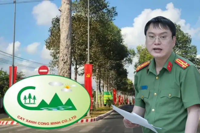 Công ty Cây xanh Công minh