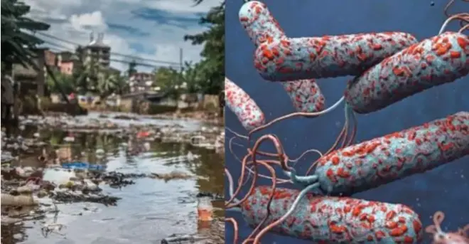 Aworan nipa Aarun onigba meji 