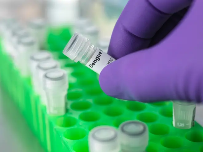 Бойжеткен ағасының отбасының мүшесі. Кемпірлердің суреттері