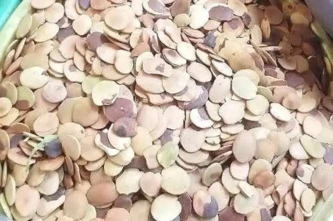 Achi seeds