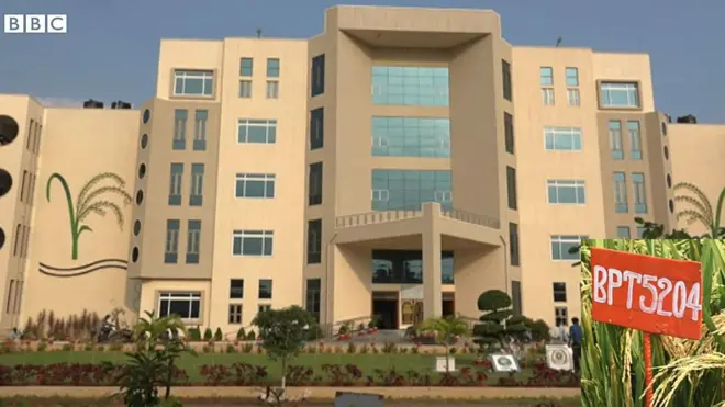 బాపట్ల అగ్రికల్చర్ కాలేజ్