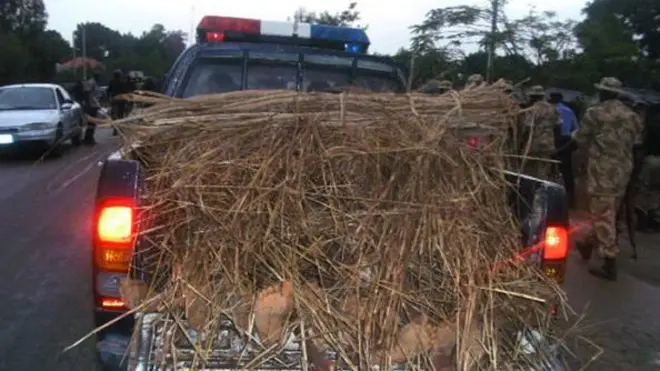 15 Nigerian Soldiers killed