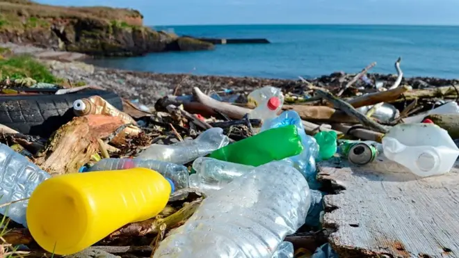 السعودية: حملة لتنظيف البحر الأحمر