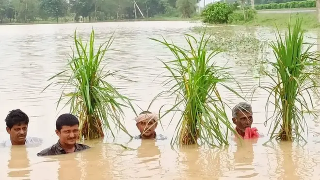 పశ్చిమ గోదావరిలోని కైకరం వద్ద పీకల్లోతు నీళ్లలో రైతులు