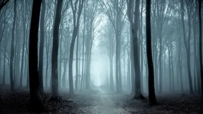 Ліс самогубців