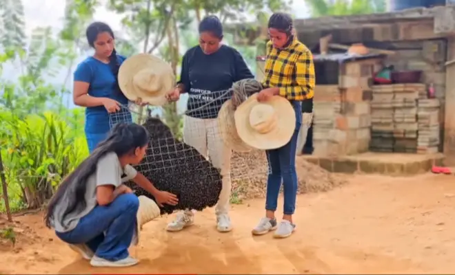 मधुमक्खियों को बचाने के लिए आगे आईं ये लड़कियां