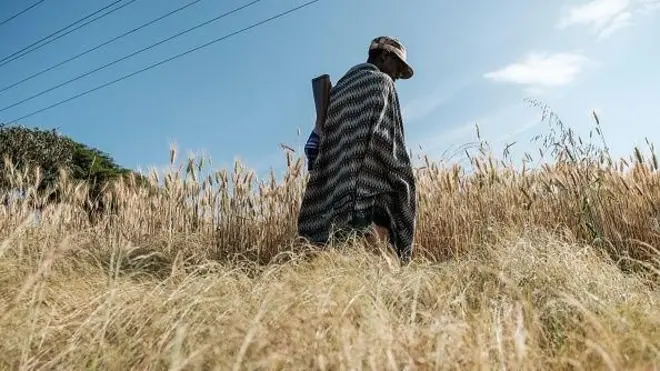 ምስሉ ዘይርአ ሓደ ዕጡቕ ብዝኣኸለ እኽሊ ግራት ብረት ሒዙ እናኸደ