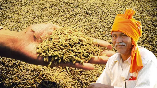 ગુજરાત, જીરું, જીરાનો ભાવ, ઊંઝા, એપીએમસી, બીબીસી ગુજરાતી, ગુજરાતમાં જીરું, ગુજરાતના ખેડૂતો, ગુજરાતમાં ખેતી, જીરું નિકાસ