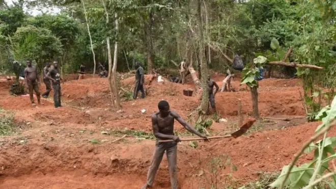 Chaque matin, par petits groupes d’orpailleurs-paysans munis de pioches, de pelles et de houes creusent des mines artisanales dans la savane à la recherche de l'or