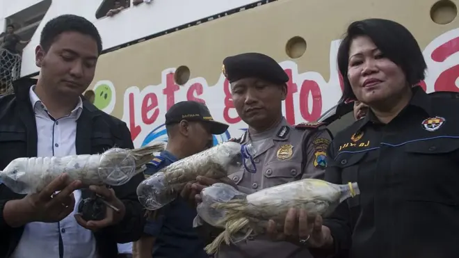 Polisi dan aparat bea cukai menunjukkan burung langka Kakatua Jambul Kuning yang disimpan dalam botol air mineral yang dirampas dari penyelundup satwa liar di pelabuhan Tanjung Perak, Surabaya, Mei 2015. Laporan WCS pada tahun yang sama menyebutkan nilai dari perdagangan ilegal satwa di Indonesia diperkirakan mencapai US$ 1 milyar per tahun.