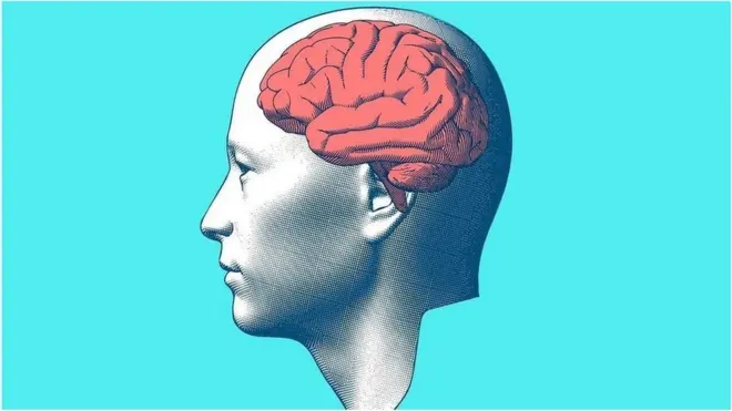 دماغ