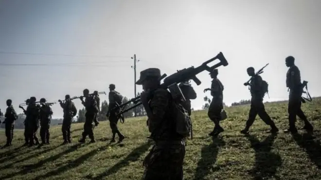 Loltoota meeshaa waraanaa qabatanii tooraan imalan