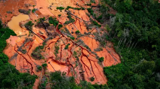 보호 구역 내 불법 광산 개발업자들의 활동은 자이르 보우소나루 대통령 집권 하에서 증가했다
