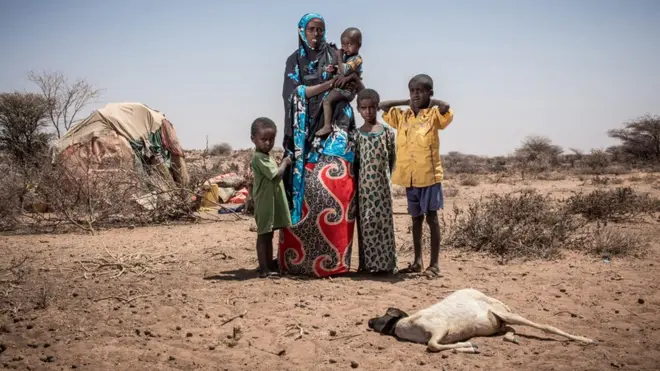 Abaaraha ayaa sababay gaajo iyo haraad baa'an oo laga soo sheegayo deegaanada Soomaalida