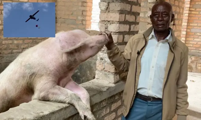 Israel Nsengiyumva umworozi w'ingurube i Nyambagabe