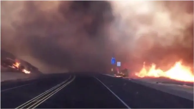 лісові пожежі в Каліфорнії