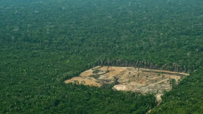 ภาพป่าอเมซอนที่ถูกทำลาย