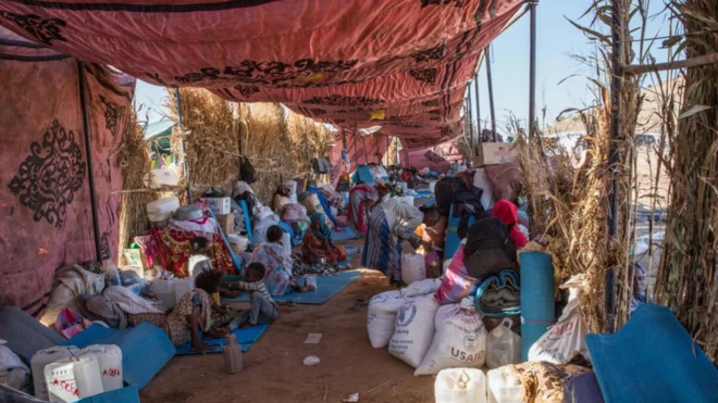 Namoota Tigraayi gara Sudaan baqatan