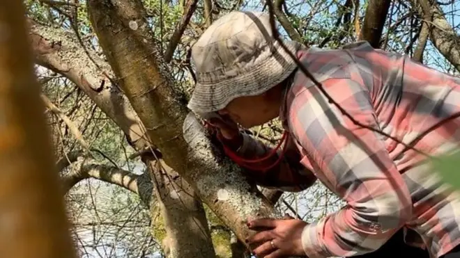 Svetski dan zaštite životne sredine: Organizmi stari 8.000 godina otkrivaju zagađenost vazduha