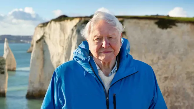 Sir David Attenborough wearing a blue zip jacket looks at the camera with a blue sea and a white cliff behind him. Sun shines on his face making him squint his eyes slightly.