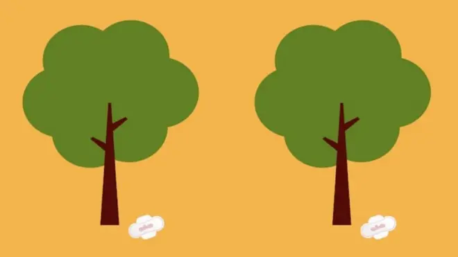 Како хигијенски улошци утичу на животну средину