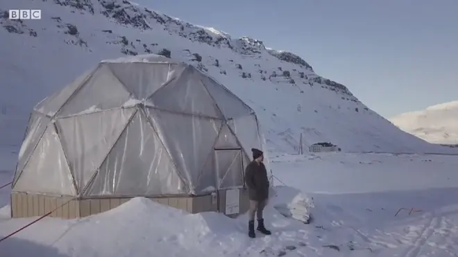 Bercocok tanam di Kutub Utara