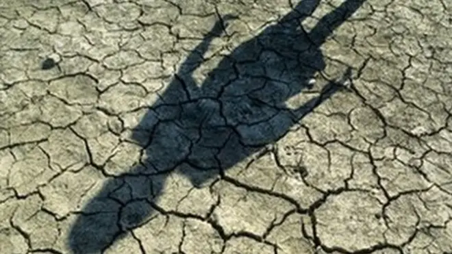 La sexta extinción masiva, afirma Ceballos, "pone en riesgo la existencia misma de la humanidad".