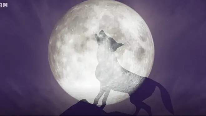 చంద్రగ్రహణం