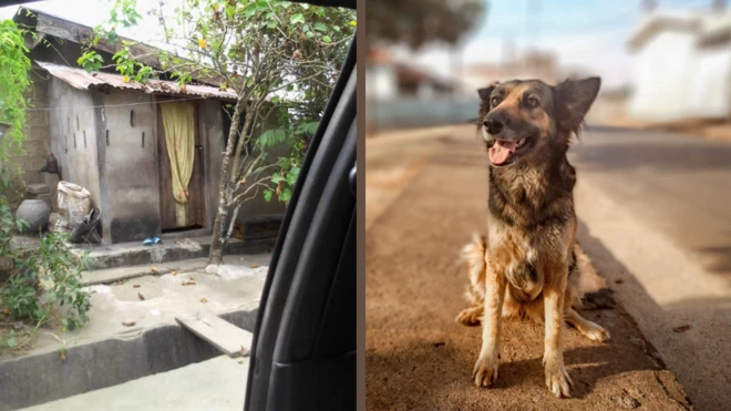 Aja jẹ nkan ọmọkunrin ọga rẹ ni Calabar