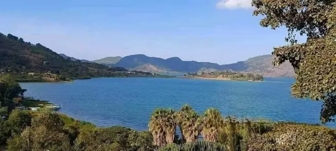 ሎጎ ሐይቅ በአማራ ክልል ደቡብ ወሎ ዞን ተሁለደሬ ወረዳ የሚገኝ ሐይቅ ነው።