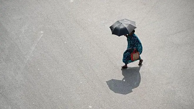 umbrella