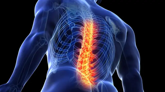 Ilustração dos ossos da coluna de um homem