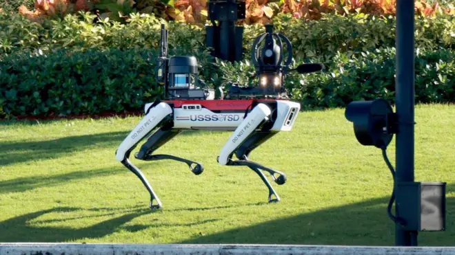 Күзөт кызматына алынган "темир ит"