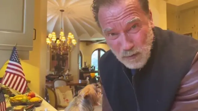 أرنولد شوازينيجر