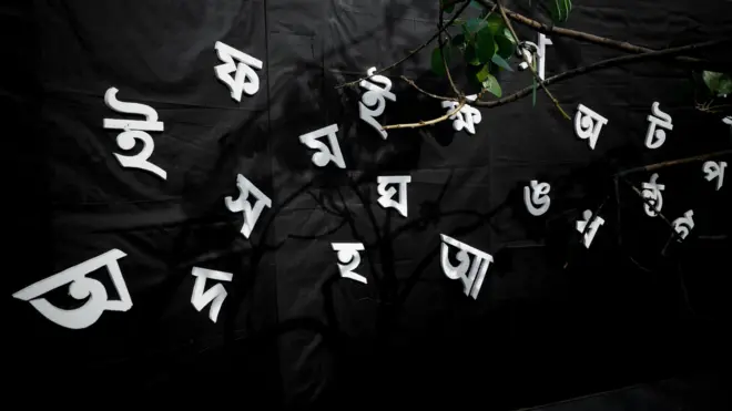 ১৯৯৯ সালের ১৭ নভেম্বর ইউনেস্কো ২১ ফেব্রুয়ারিকে আন্তর্জাতিক মাতৃভাষা দিবস হিসেবে ঘোষণা করে।