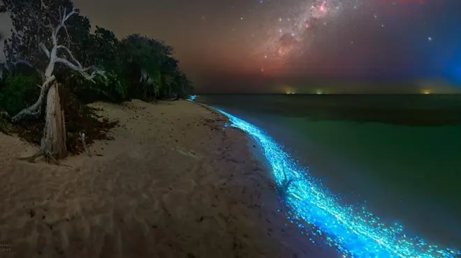 మాల్దీవుల్లో సీ ఆఫ్ స్టార్స్ బీచ్