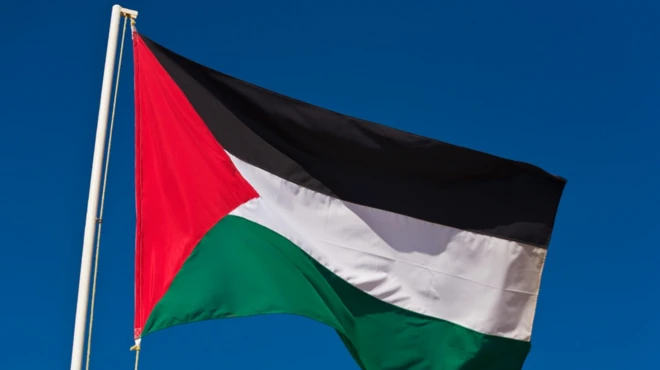 పాలస్తీనా జెండా