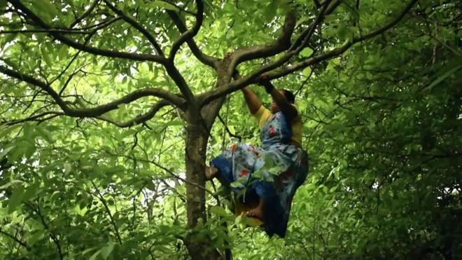 මුම්බායි ආරේ වනය මෙට්‍රෝ ව්‍යාපෘතියකින් බේරා ගැනීමට සටන් කරන කාන්තාව