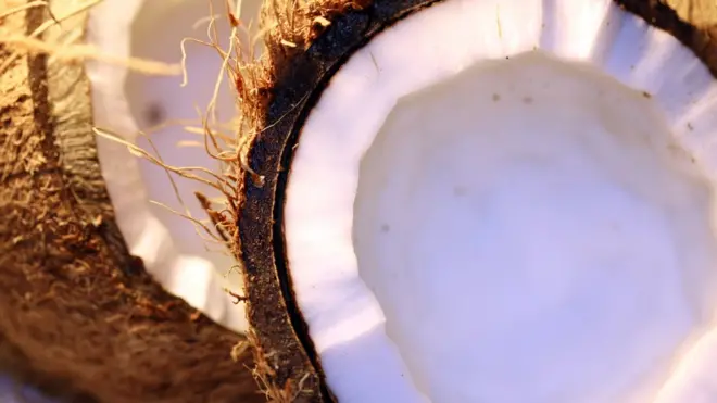 เนื้อมะพร้าว